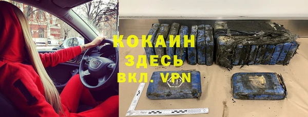 шишки Гусев
