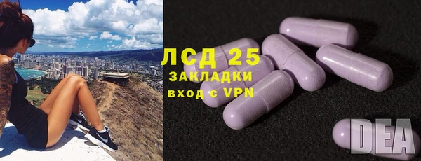 спиды Новодвинск