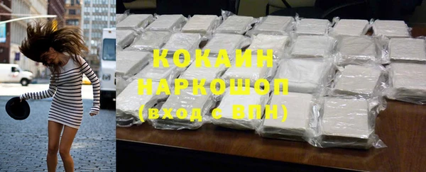 дмт Няндома