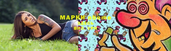 дмт Няндома